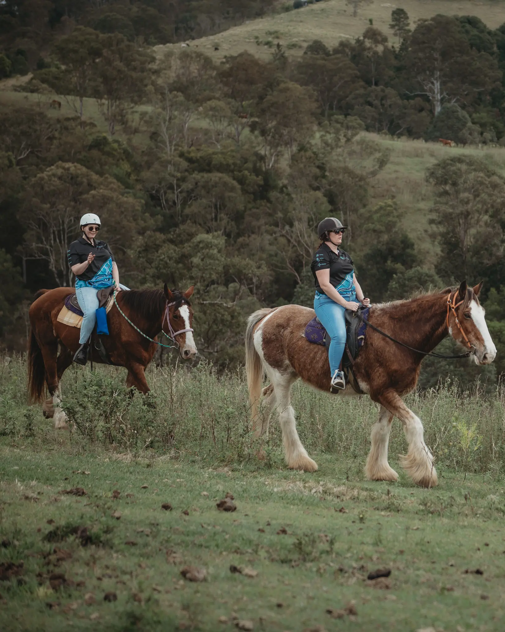 Featured Post Image - Top Things to Do in Woodford, Queensland