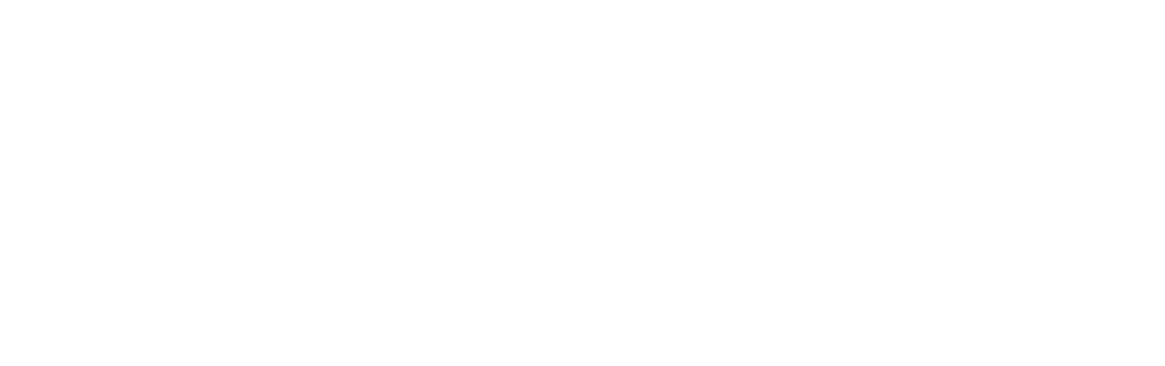 quad care logo